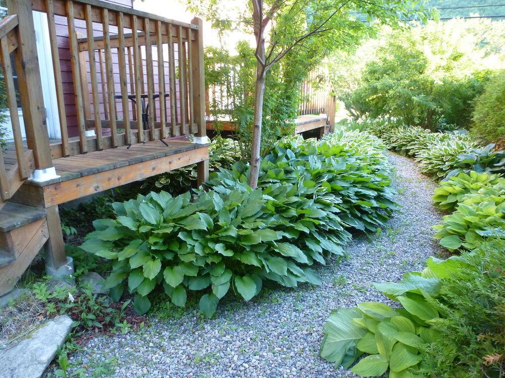B&B Les Deux Pignons Petit-Saguenay Екстериор снимка